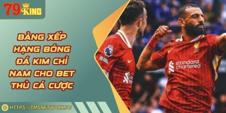 Bảng Xếp Hạng Bóng Đá Kim Chỉ Nam Cho Bet Thủ Cá Cược